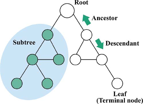 3/ Why is outlining so valuable. Its a simple way, almost working subconsciously, for adding structure & meaning to our notes. This is done through indenting and unindenting text at each bullet (node) level. This structure creates advanced relationships within our notes.