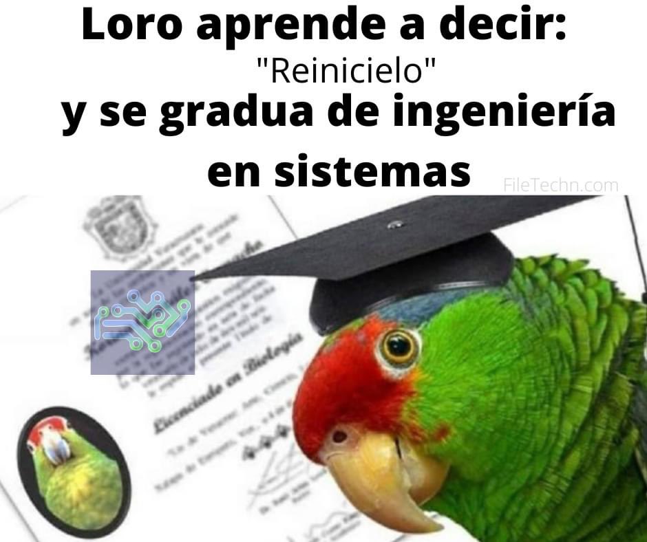 Filetechn's tweet image. 