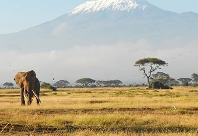 africanazarene's tweet photo. Africa's 2nd highest peak, #MtKenya photographed from #ANU campus grounds and from the national park at the base of the mountain. #nature #naturephotography
#EnvironmentandInnovation https://t.co/YfEPj2qYM7