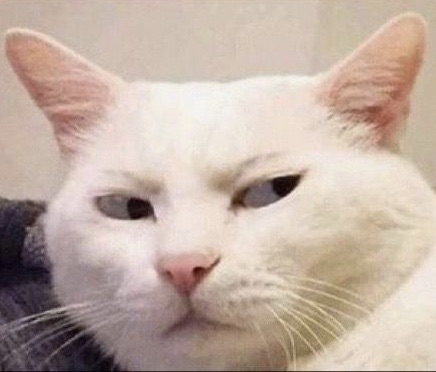 / saya mah bertindak sesuai akhlak lawan bicara.