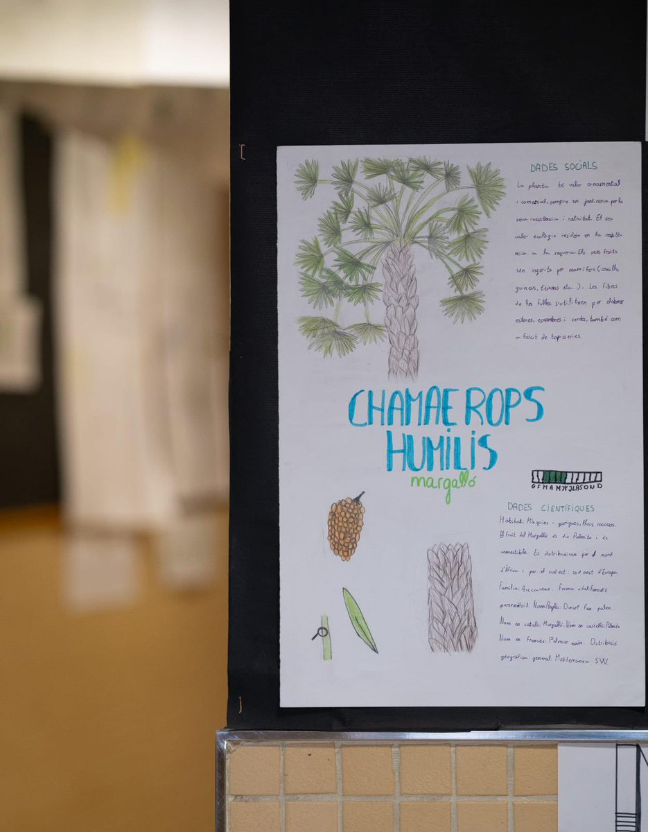 epiagranollers's tweet photo. CIÈNCIA, TECNOLOGIA I ART 🌳🌱🌿🌾

Durant el primer trimestre, l'alumnat de 1r d'ESO, hem estat fent un projecte interdisciplinari on hem treballat competències tant de l'àmbit artístic com del cientificotecnològic.

Podeu llegir l’article a: https://t.co/OF6Qzn7nVq https://t.co/9jmqMhsBBS