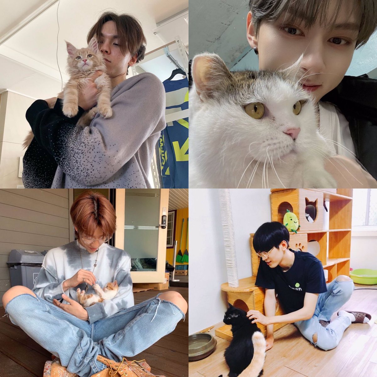 𓂋 𝚙𝚞𝚖𝚙𝚔𝚒𝚗 𝚙𝚒𝚎🥚𓈒 יִ tweet media