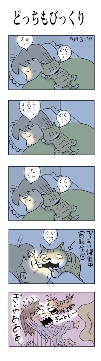 どっちもびっくり
#こんなん描いてます
#自作マンガ #漫画 #猫まんが 
#4コママンガ #NEKO3 