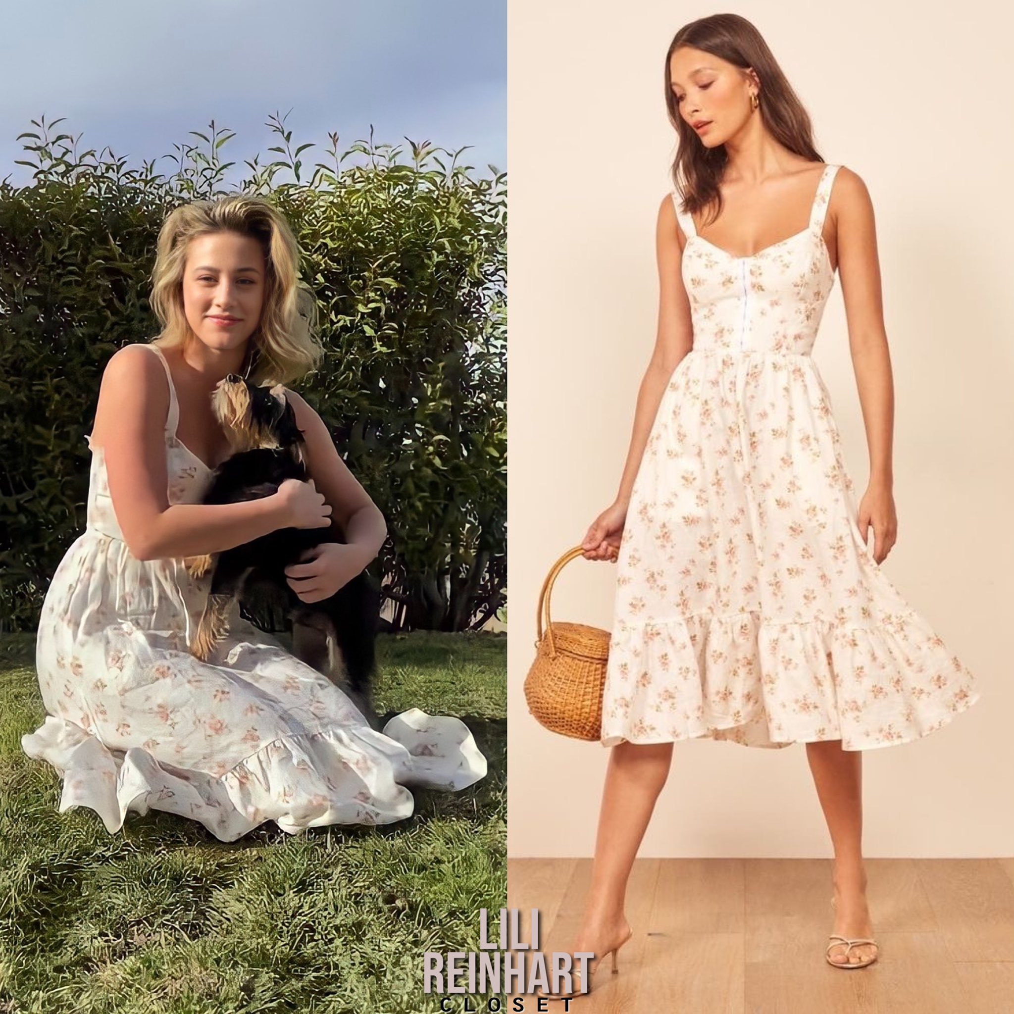 Dolci dress reformation sales