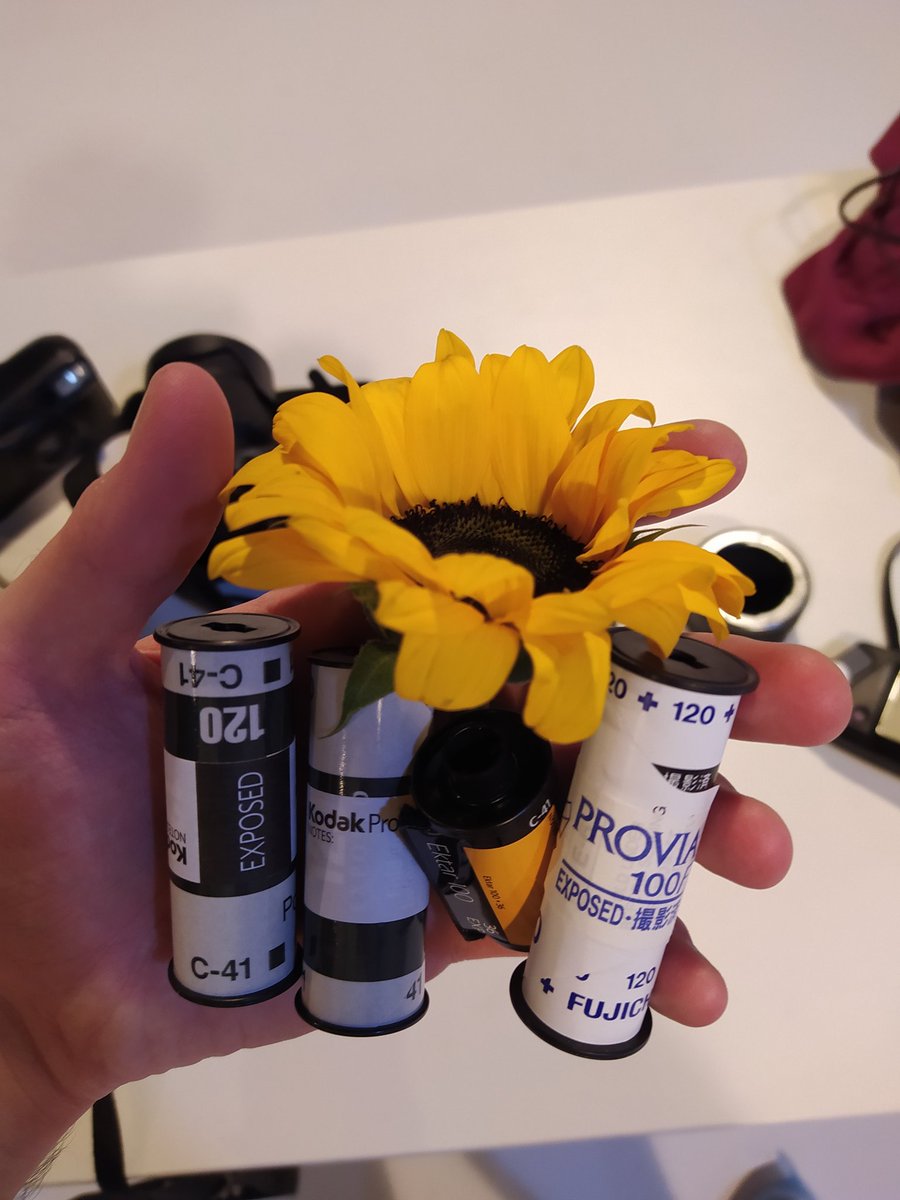 JmQ1100's tweet photo. De hoy https://t.co/iVb1SDQMWp