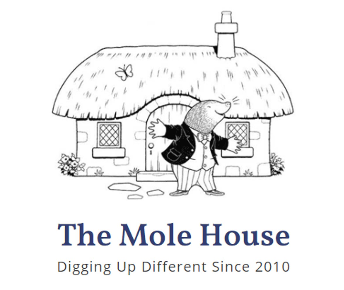 Who has been to the Mole House in Kelso? Closed for now, but very much open online! #Shoplocal for an array of wonderful gifts. #ScottishBorders ow.ly/A9Tg50Do7FD