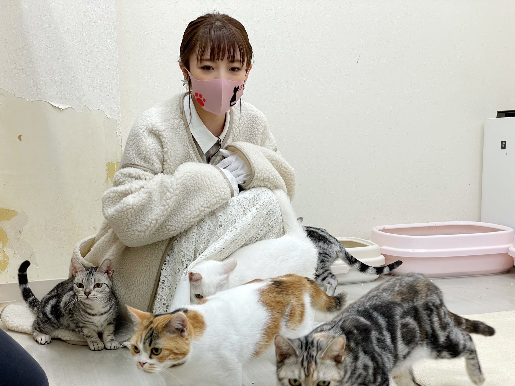 高橋みなみ on X: 