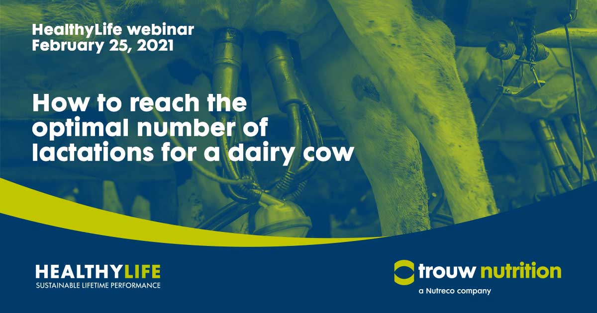 What  can be done on management side to keep your cows healthy to get the extra lactation?

Hear all about it from Professor A. de Vries from University of Florida.
Subscribe now: ow.ly/SsCp50Dwp31