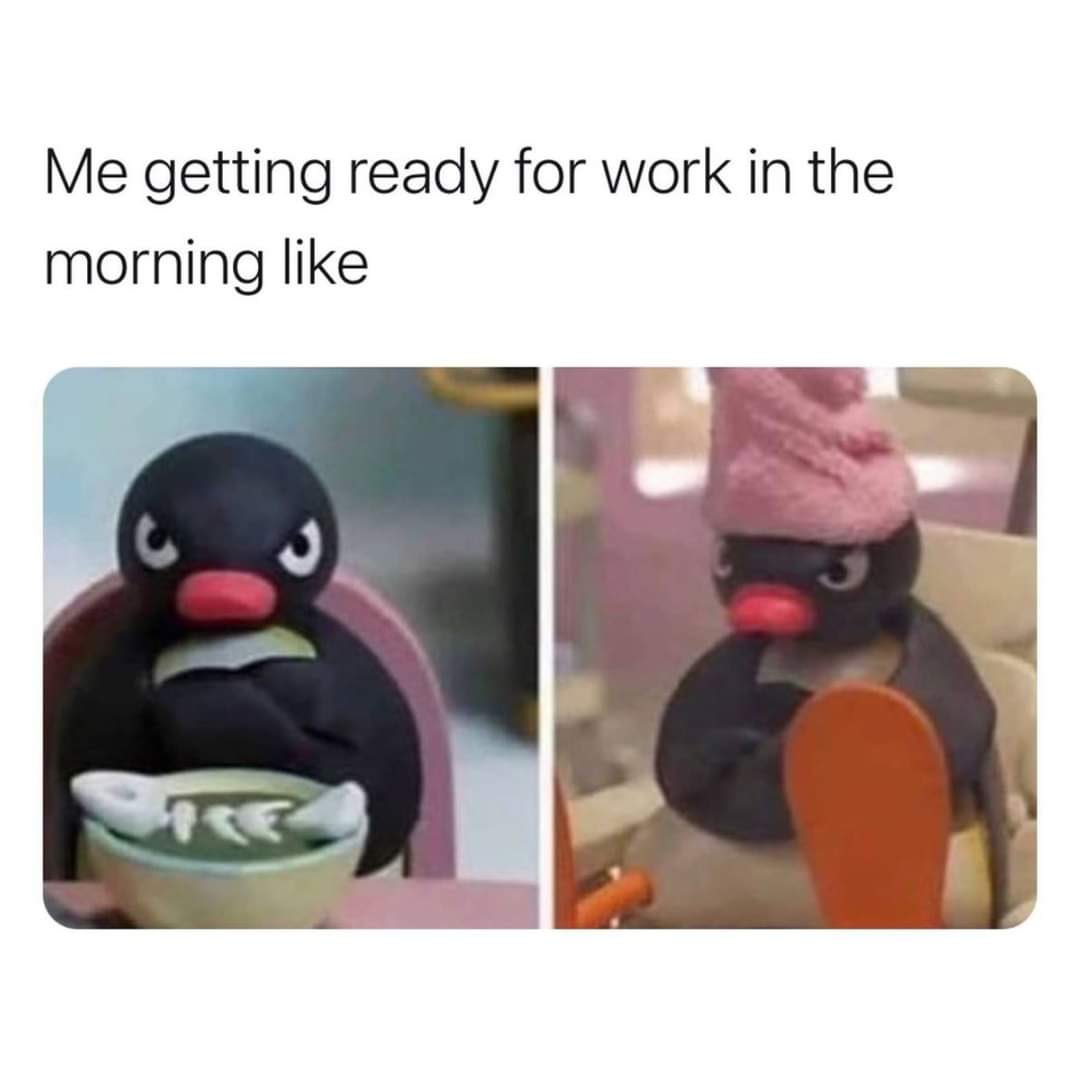 Utterly Feral tweet media