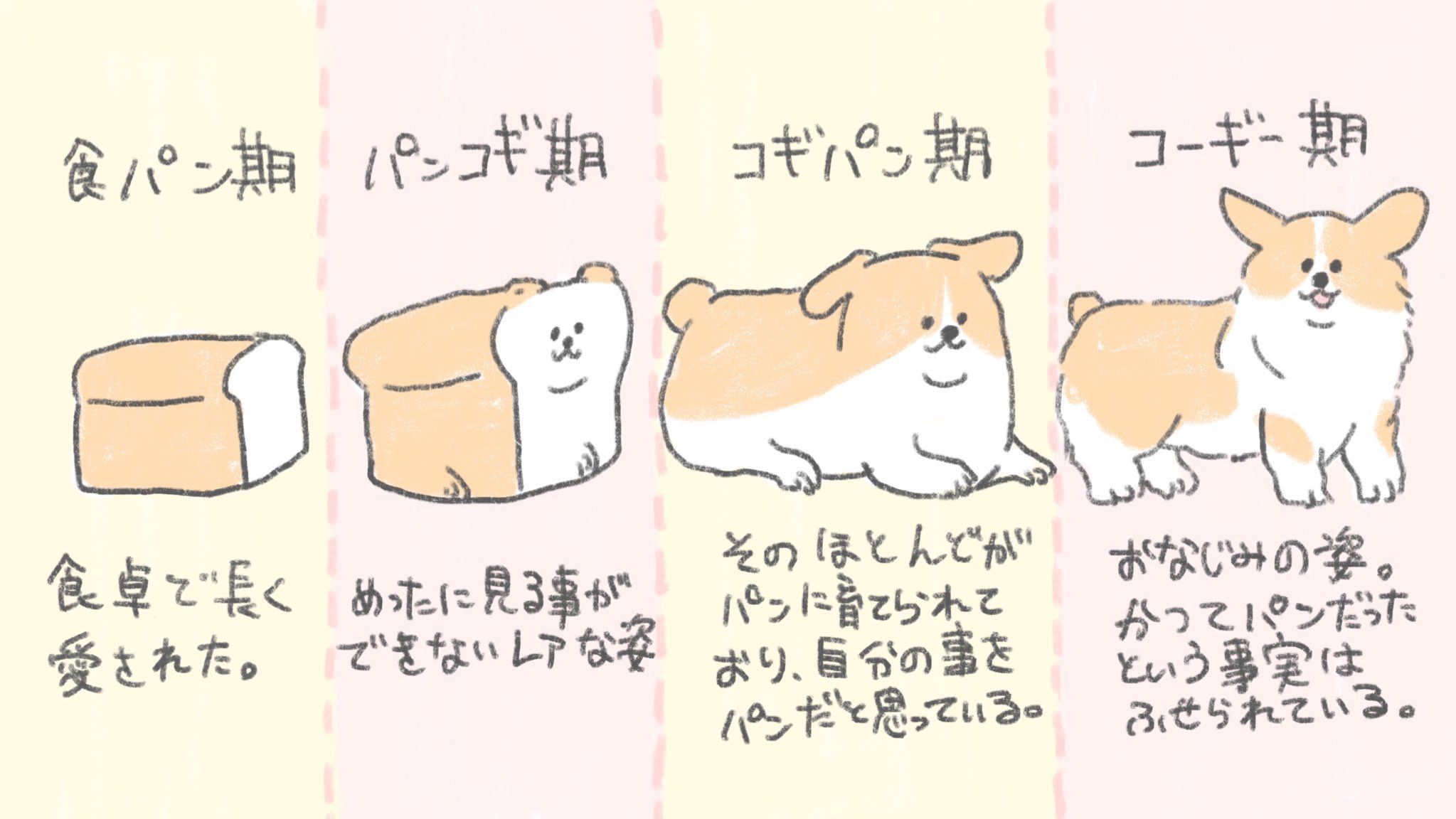 ほんとにこんな過程を経ていそう 食パンがコーギーに進化するまでを描いたイラスト 話題の画像プラス