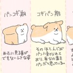 ほんとにこんな過程を経ていそう!食パンがコーギーに進化するまでを描いたイラスト!