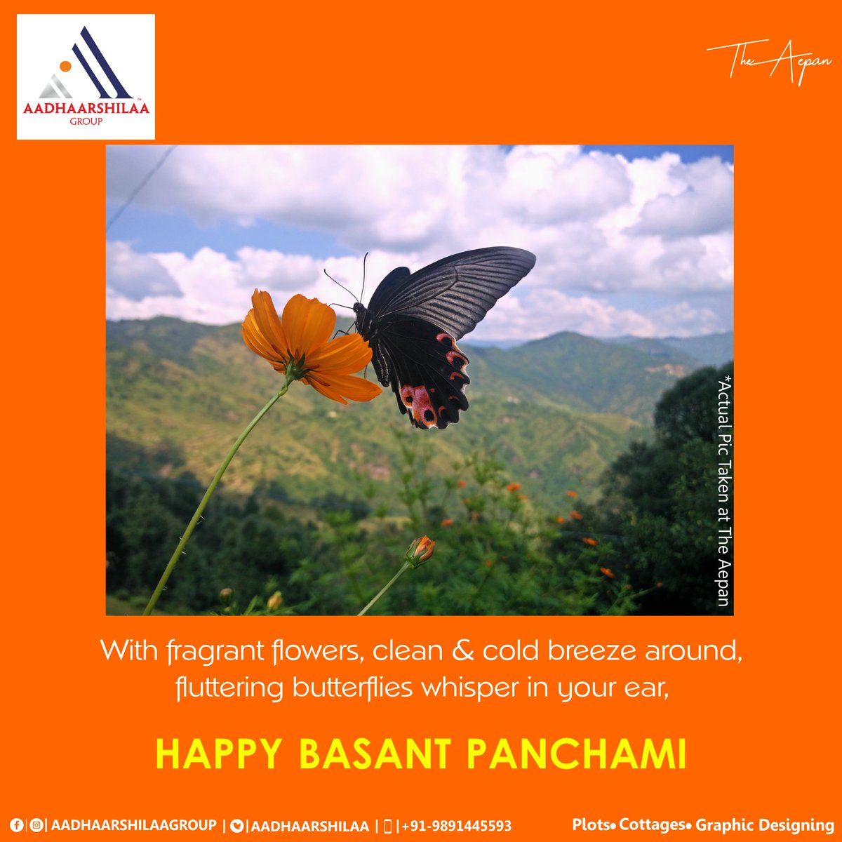 aadhaarshilaa's tweet photo. With fragrant #flowers, clean &amp; cold #breeze around, fluttering #butterflies whisper in your ear, #HappyBasantPanchami. May you be bestowed with #knowledge &amp; #wisdom.
#BasantPanchami #Spring #Flowers #Butterfly #Nature #NatureLover #GoddessSaraswati #AadhaarshilaaGroup #TheAepan https://t.co/qVnHOoqIiV