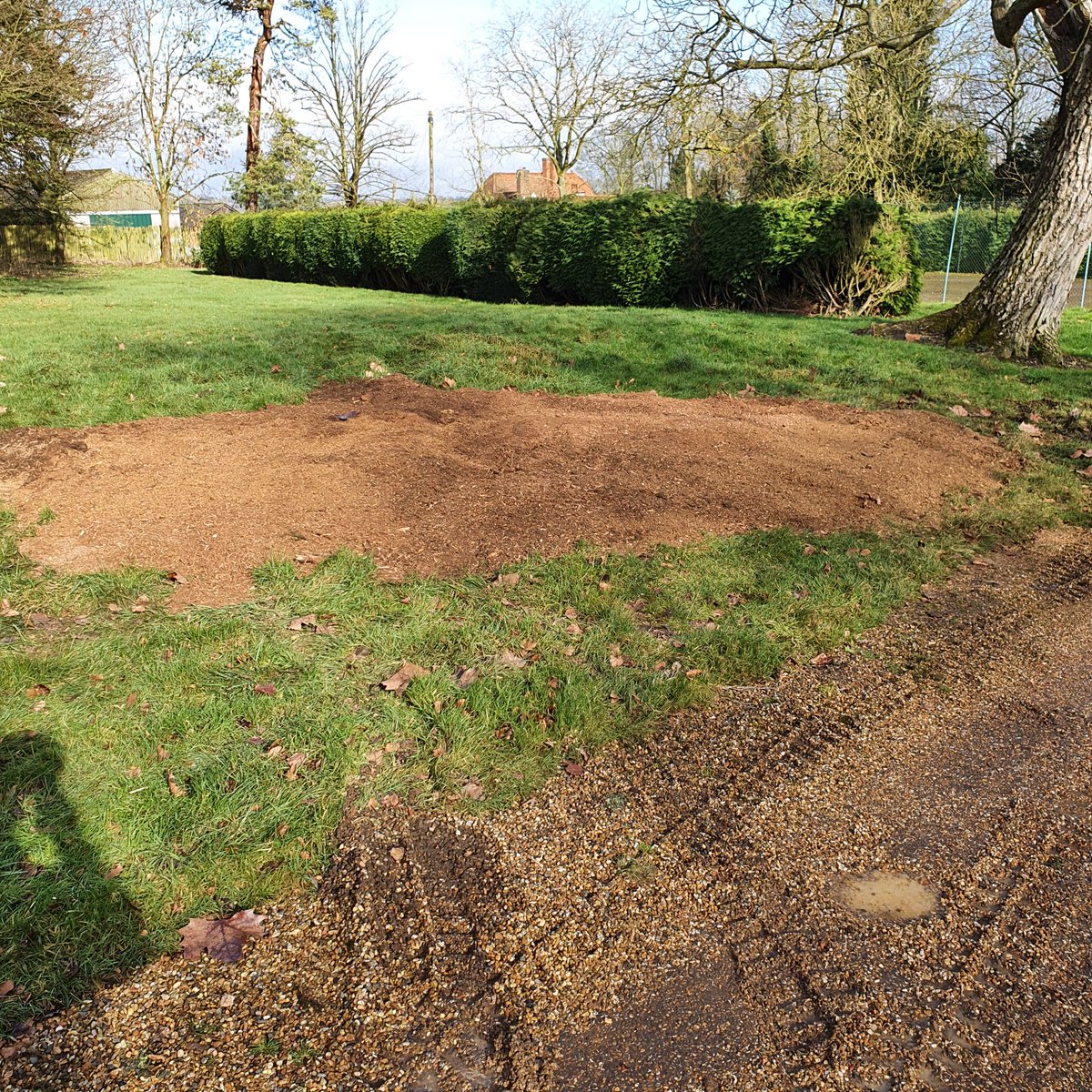 TreeGrinding's tweet photo. Tree stump grinding in Westmill, near Buntingford, Hertfordshire. Here the picture shows a large walnut tree stump about 6 feet across. The stump was ground well below ground level in preparation for seeding. #treestumpgrinding #treerootremoval #Buntingford #Hertfordshire https://t.co/JXyjayi53b