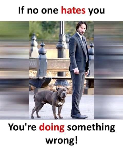 MerdBob's tweet image. 