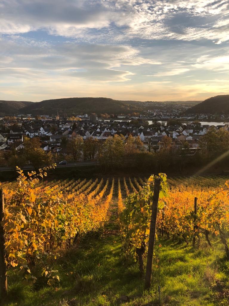 Schloß Arenfels in Bad Hönningen, #Germany, is a neo-Gothic castle dating back to the 1200s in a picturesque setting with a #vineyard. Pictured here are the final moments of a dramatic November #sunset. #travel #photography @germanytourism