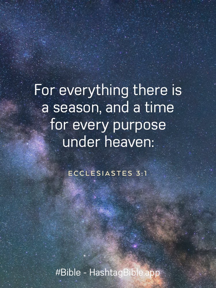 ChanksRed's tweet image. 