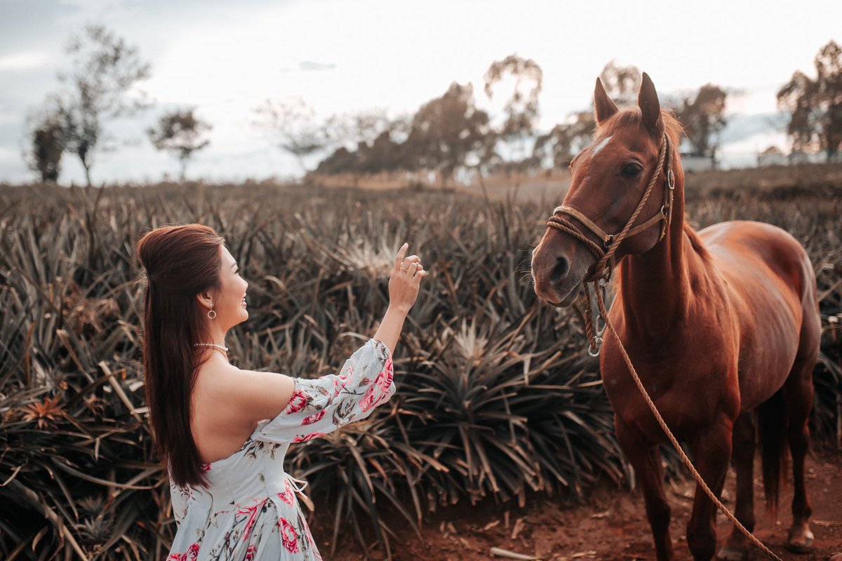 AdtPapa's tweet photo. easy horsy ❤️❤️ #papaadt #predebutshoot #bukidnon https://t.co/wzRwn90eji