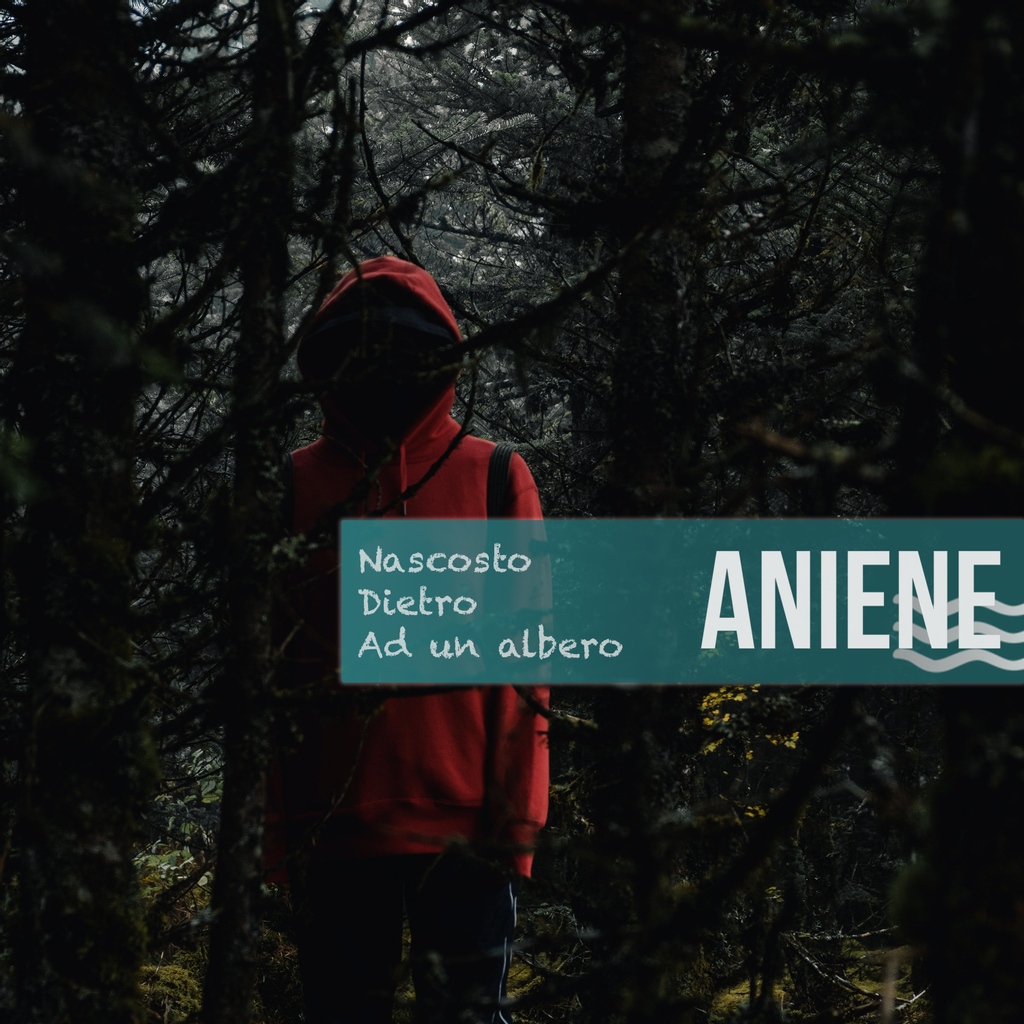 Nascosto dietro ad un albero. Fuori il 18.02.2020
Pre-save disponibile qui: ffm.to/nascosto-dietr…
#aniene #nuovosingolo #nascostodietroadunalberoP