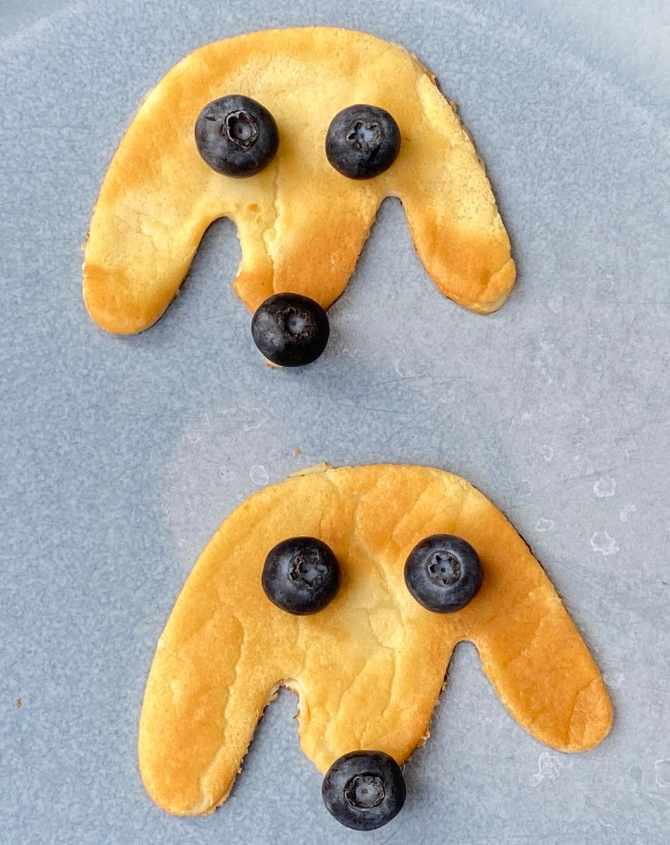 Happy #PancakeDay 🥞

A little breakfast treat for Pops and Gert this morning!

#EarlyBiz #dogsoftwitter #ShroveTuesday
