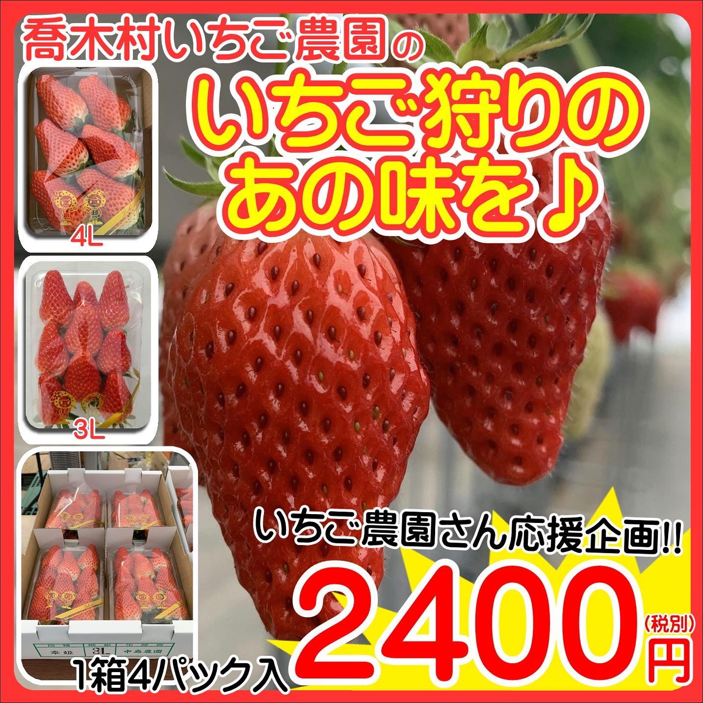 酒のメガテン ご予約の案内 メガテンでは喬木村のいちご農園さん を応援 するべく Line にて購入していただける方を募集しています 企画詳細は酒のメガテン公式インスタグラム Lineにて確認お願いします 気になる方は 酒のメガテン 公式