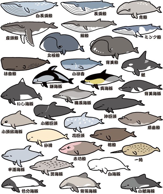 多様性への敬意と憧れ。 #動物の癒しbotなんかよりぼくのアカウントをフォローするといいよ 
