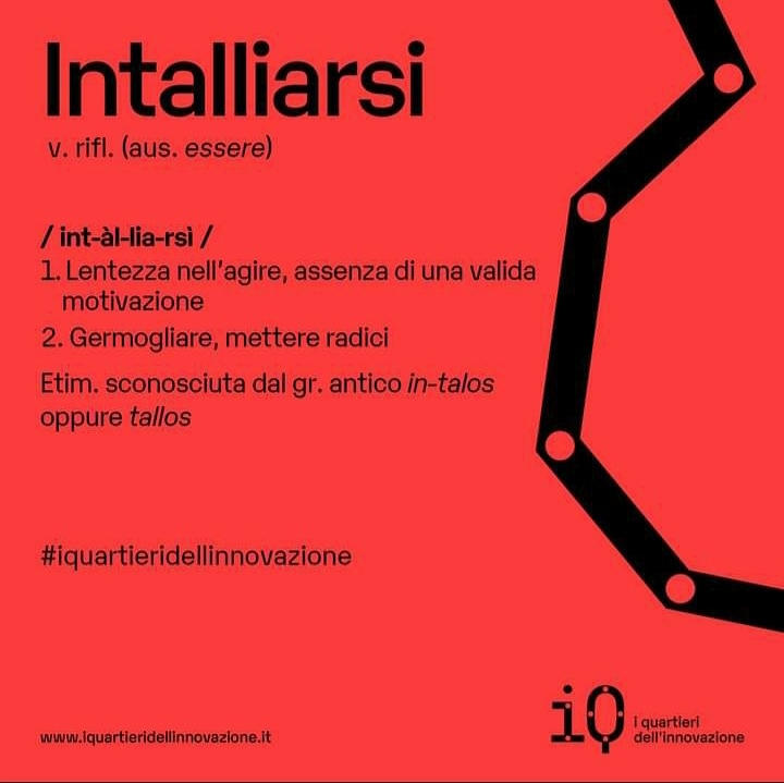 ☀️🍀🌿😎 "Intalliarsi" vuol dire rimanere, stare fermo in un luogo ma al contempo crescere e creare. 🌱✌️ Mettere quindi radici e frutti in un luogo, cercando di migliorarlo. E I Quartieri dell'Innovazione, cos'è se non un progetto che vuole far fiorire Napoli?
#iQ #napoletanità
