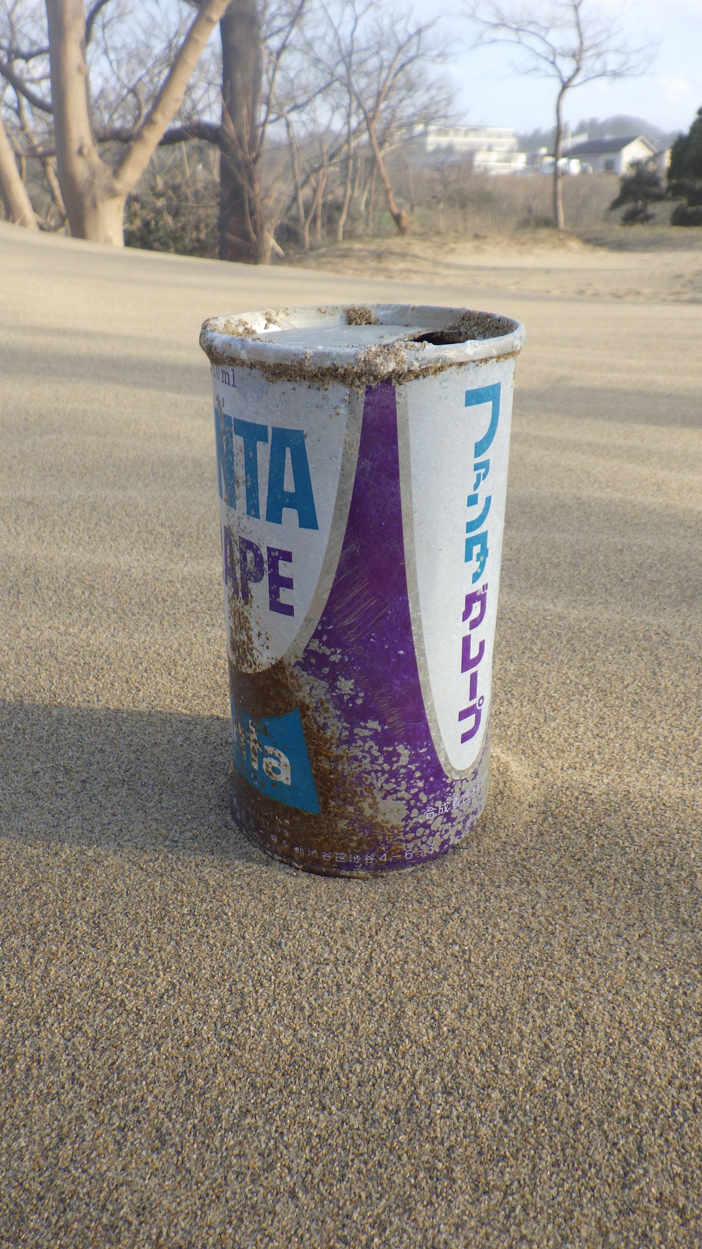 長い間砂の中に埋もれていた 鳥取砂丘からある物が見つかって話題に 話題の画像プラス 長い間砂の中に埋もれていた 鳥取砂丘からある物が見つかって話題に 話題の画像プラス