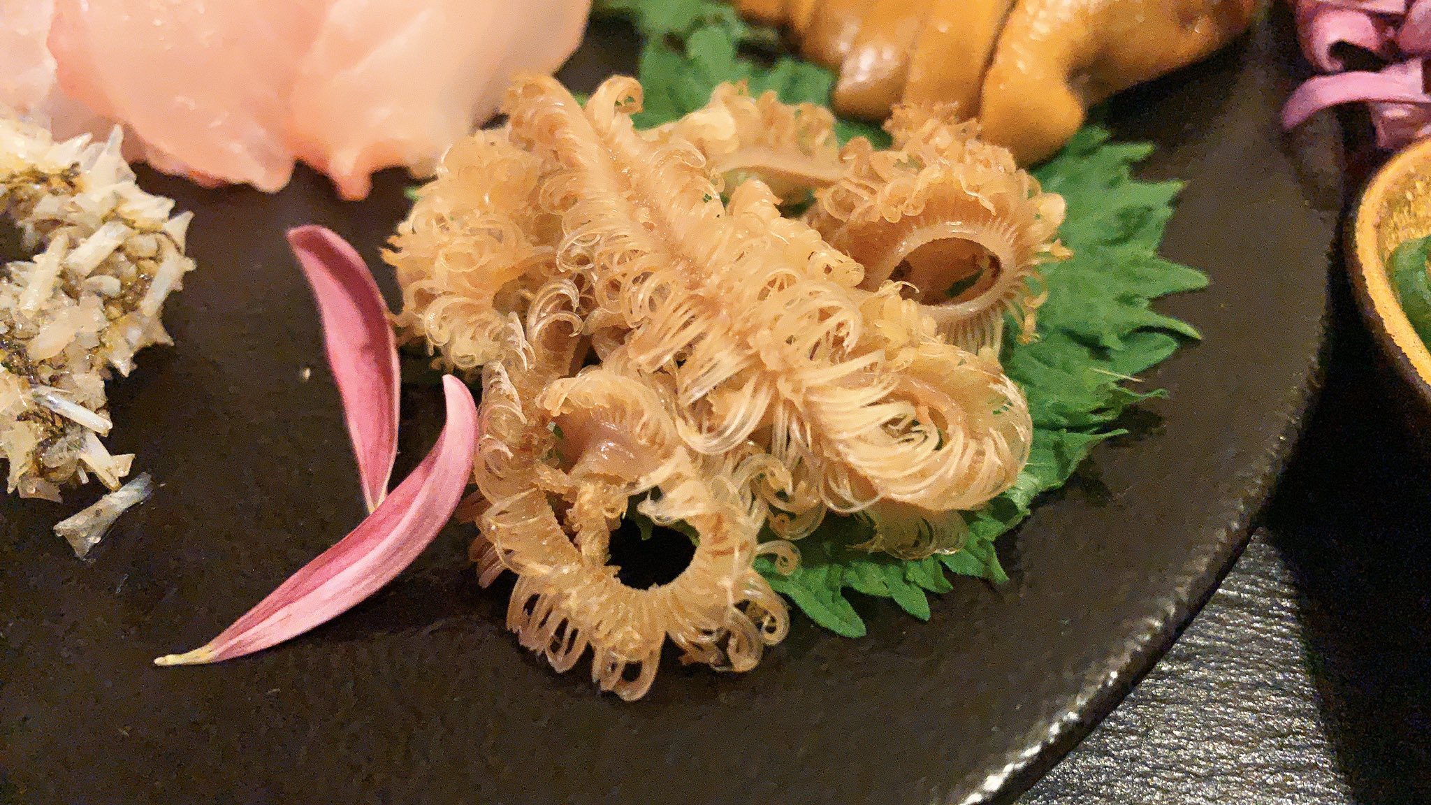 オーロラ Aurora おうちごはん クエの内臓食べ尽くし 憧れのクエを解体したよ まずは 内臓料理で楽しむよ 胃袋 腸 キモ ウロコ エラ 幽門垂 内臓脂肪だよ お刺身も少しだけ味見 書き切れないのでリプに感想を