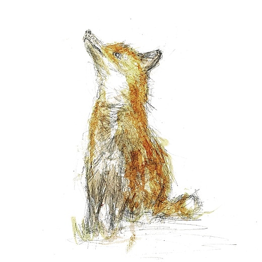 morvennauk's tweet photo. I do love foxes! I was talking about them with my family last night and how much character they have, the hardware of a dog the software of a cat! π¦ #fox #foxcards #greetingcards #justacard #morvenna #morvennauk #wildlife #animals #watercolour #watercolor https://t.co/0EE1fxv9zC https://t.co/8KeCCB6Emh