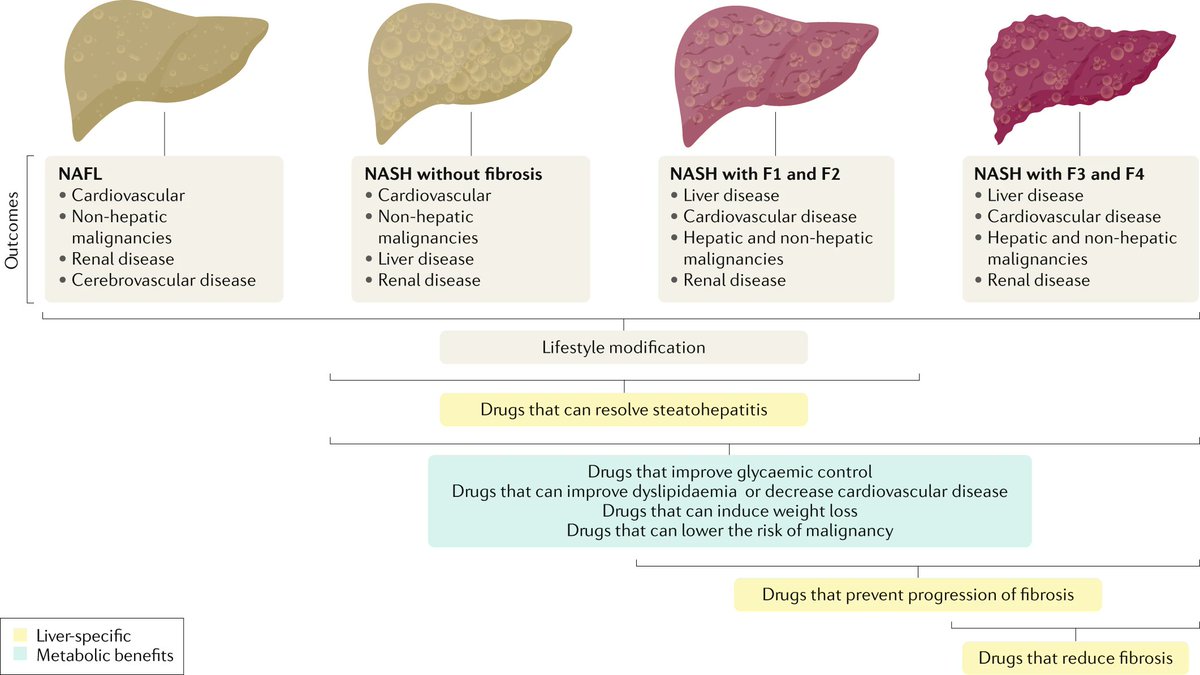 ICYMI | The therapeutic pipeline for #NASH is expanding as insights into pathophysiology are gained, this REVIEW summarises progress in the development of NASH therapies, current &amp; ongoing trials, and potential challenges
nature.com/articles/s4157…

#NAFLD #fattyliver