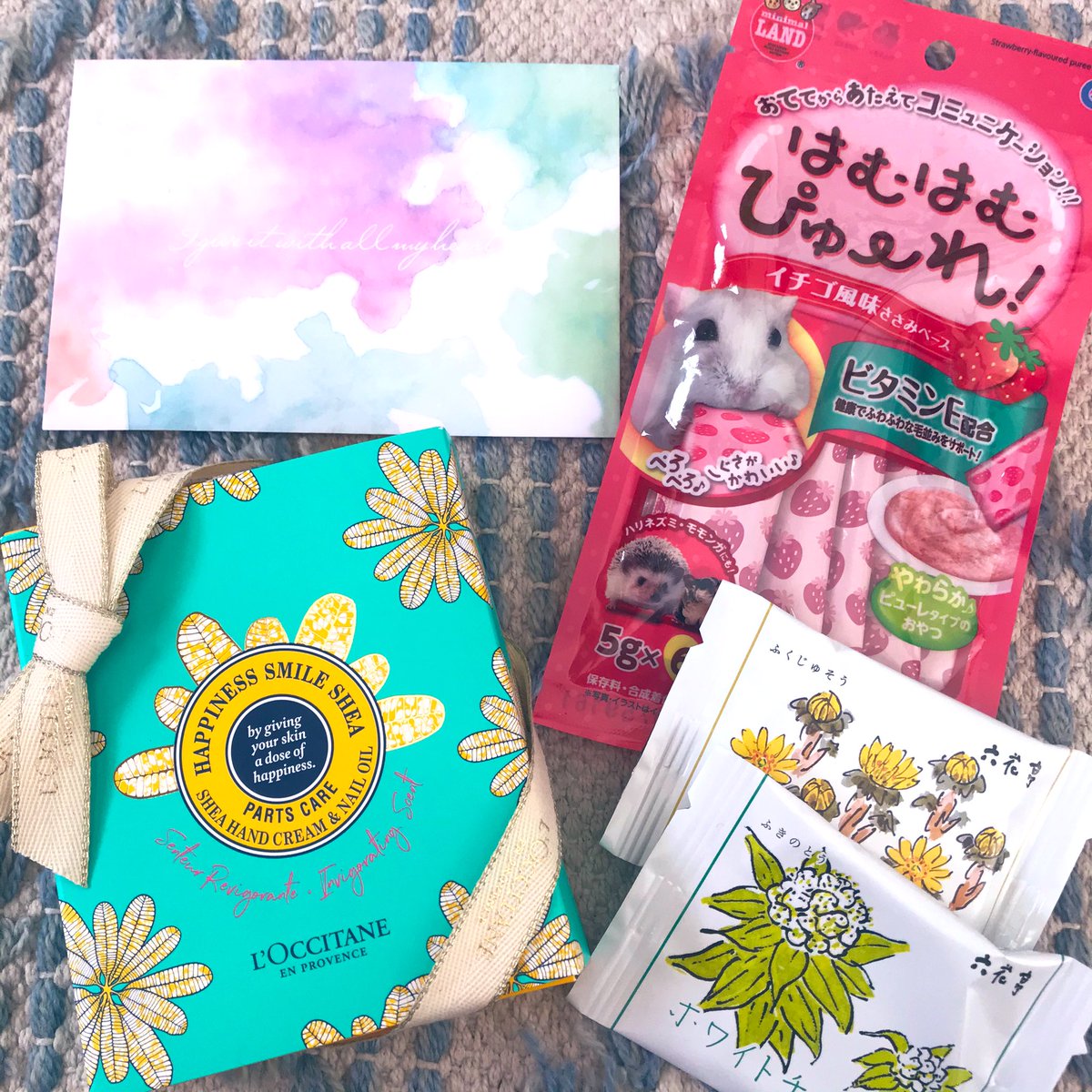 うわわわー!!✨✨ファンレターとバレンタイン受け取りました!💝🍫✨😭ゴマ太郎の分まで!上手かわいいイラストも!🐶👶🏻🐹うれしいい!!!✨✨✨ありがとうございます!!!✨✨✨ 