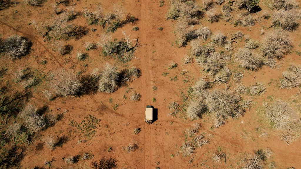 willbrownsz's tweet photo. Truly #Eswatini.
KaMsholo Bushveld Safaris.

@TravelSwaziland @SouthAfrica
@BigGameParks
@travelindaba @travelchannel

#safari #inafrica #tia #droneoftheday #droneshots #TiniTwitter https://t.co/3SSJ38H3Q0
