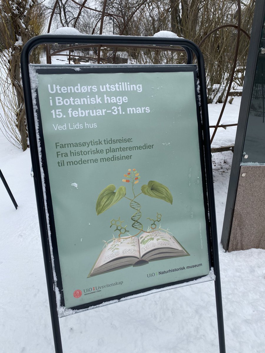 Our outdoor exhibit at <a href="/UniOslo_NHM/">Naturhist. museum</a> on @UiO_LifeSci project #REALife_UiO is open and covered in a fine dusting of fresh snow ❄️ 🌱