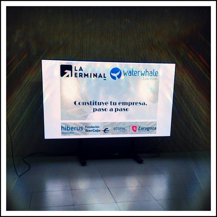 Gloria Bayo 💬 tweet media