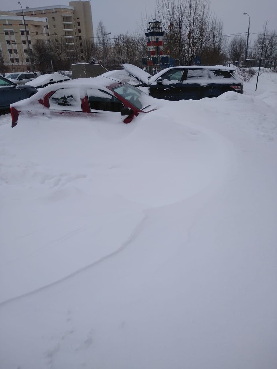 NMSE Lab tweet media