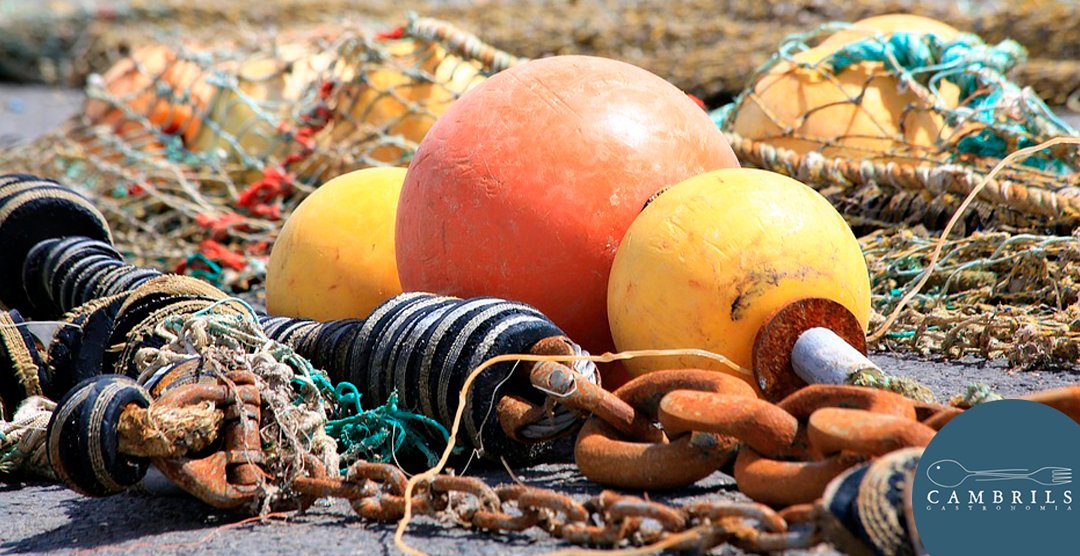 CambrilsGastronomia (@cambrilsgastro) on Twitter photo Hi ha colors, elements i paisatges eternament lligats a Cambrils i a la seva gastronomia. Como las redes y la pesca.
#cambrils #cambrilsgastronomia #capitalgastronomicadelacostadaurada #visitacambrils #gastronomia #peixdecambrils <a href="/ajcambrils/">Ajuntament Cambrils</a> <a href="/catexperience/">Catalunya Experience</a> <a href="/AEHTarragona/">Federació AEHT</a> Hi ha colors, elements i paisatges eternament lligats a Cambrils i a la seva gastronomia. Como las redes y la pesca.
#cambrils #cambrilsgastronomia #capitalgastronomicadelacostadaurada #visitacambrils #gastronomia #peixdecambrils <a href="/ajcambrils/">Ajuntament Cambrils</a> <a href="/catexperience/">Catalunya Experience</a> <a href="/AEHTarragona/">Federació AEHT</a>