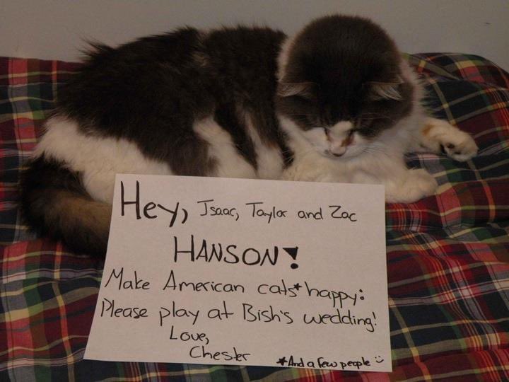 Along the way, we met so many incredible people. Many  @hansonmusic fans (Fansons) got involved but also amazing people from all over the world. People who believed in  #hansonatmywedding. We genuinely couldn’t have got as far as we did without the support of that community