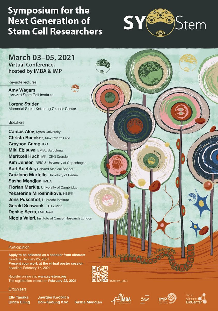 SY-Stem symposium focuses on the next generation of stem cell researchers. Organised by 
<a href="/IMPvienna/">IMP</a>  &amp; <a href="/IMBA_Vienna/">IMBA imbavienna.bsky.social</a>
 
Keynote speakers, as well as aspiring young group leaders will discuss the latest advances in stem cell biology!
Feb 17th (poster)
imba.oeaw.ac.at/seminars-event…