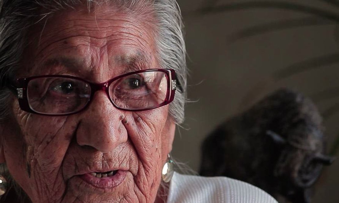 ethanmarten's tweet image. A 26-year #TurtleIsland journey is complete &amp;amp; seeking world-wide distribution! In @WhiteBuffaloMov listen to Elders share #IndigenousWisdom for ears to hear &amp;amp; hearts that are open. #Wolakota #EnvironmentalJustice #ClimateJustice #IndieFilm 

View Trailer - rb.gy/rutymv