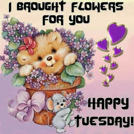 ChiaraLove39's tweet photo. @DavidMulldune @brian1968wg @Franco52 @julieroot4 @AngelicHope5 @plc1790   @Cam_El_Tow   @Skeetertwo  @NasasiraRonald3  @sluggok1 @peek61 @dubstarr73  @karoljeanne11  @Breadman1809 @mrshhjones  @LauschJack https://t.co/qWelzQhamo