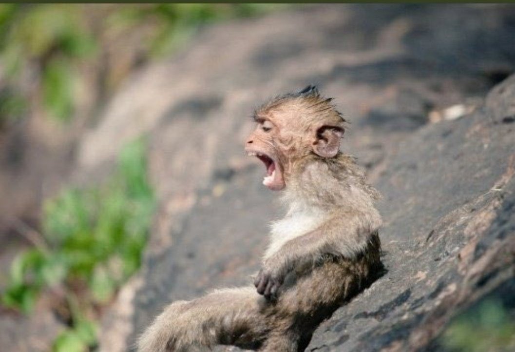 8] So it's not strategic for the  @mdczimbabwe to simply laugh at,ridicule & watch the madman's riverside theatrics,as they enjoy the coolness of the watersDo you not see the madman is not only content with his own nakedness but will soon run away with your own clothes?enkosi!