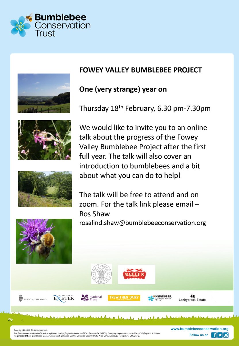 #bumblebee #conservation #zoom #talk #foweyvalley #project