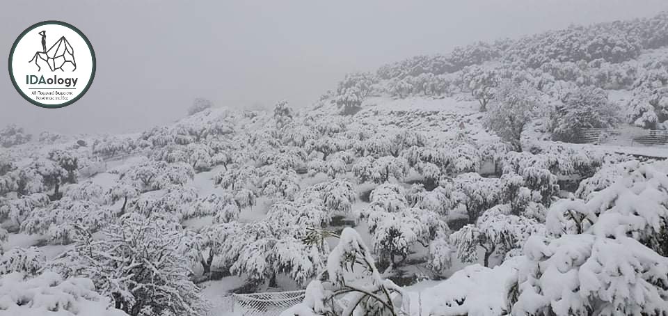 IDAologyProject's tweet image. #Μήδεια #psiloritis #unescoglobalgeopark #IdaologyProject #χιονιας #crete