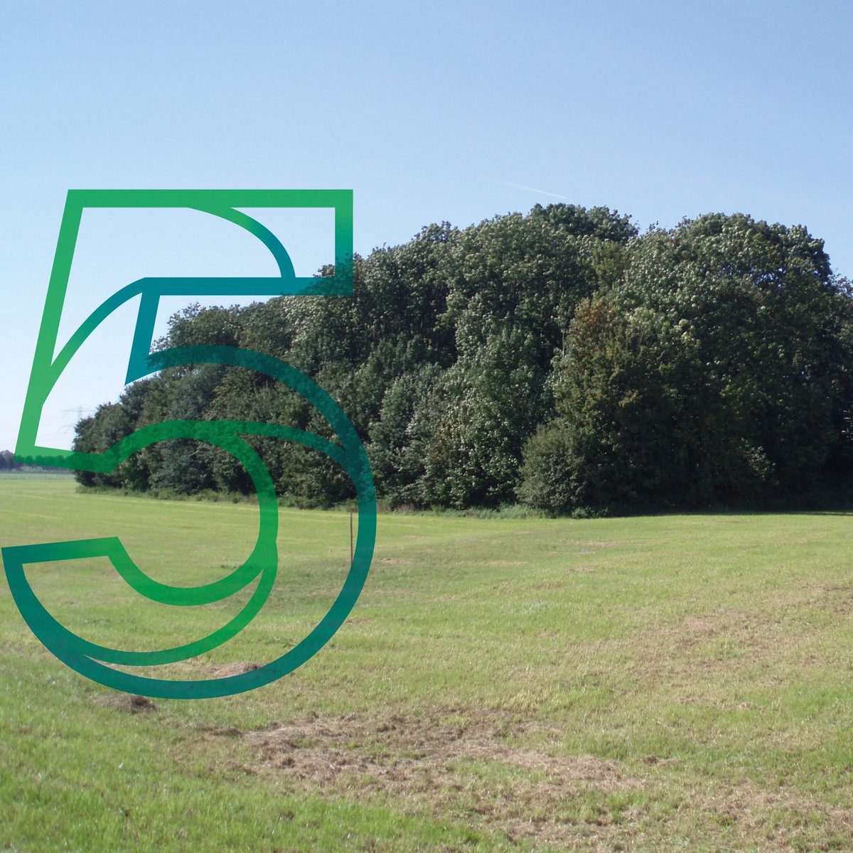 Op de contouren van het voormalige eiland zijn bomen geplant. In het ondergrondse rivierduin bij de zuidpunt, onder de akkers, liggen nog meer bijzondere archeologische waarden. Om deze beter te beschermen is ook hier een natte natuurzone voorzien, zie nieuwenatuurschokland.nl.