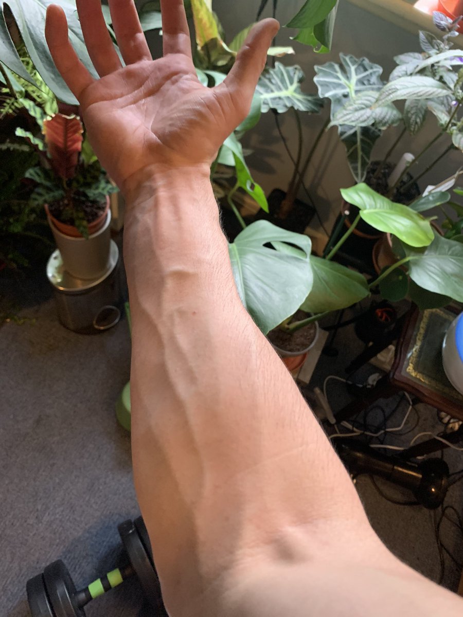 One for the muscle worships slaves💪🏼

When your muscle swells like this and goes rock hard and you feel pain, that’s what’s called “the pump” and that’s when your skin is expanding and muscle growing. Getting bigger. Want a stroke? Want my attention?
 #muscleworship