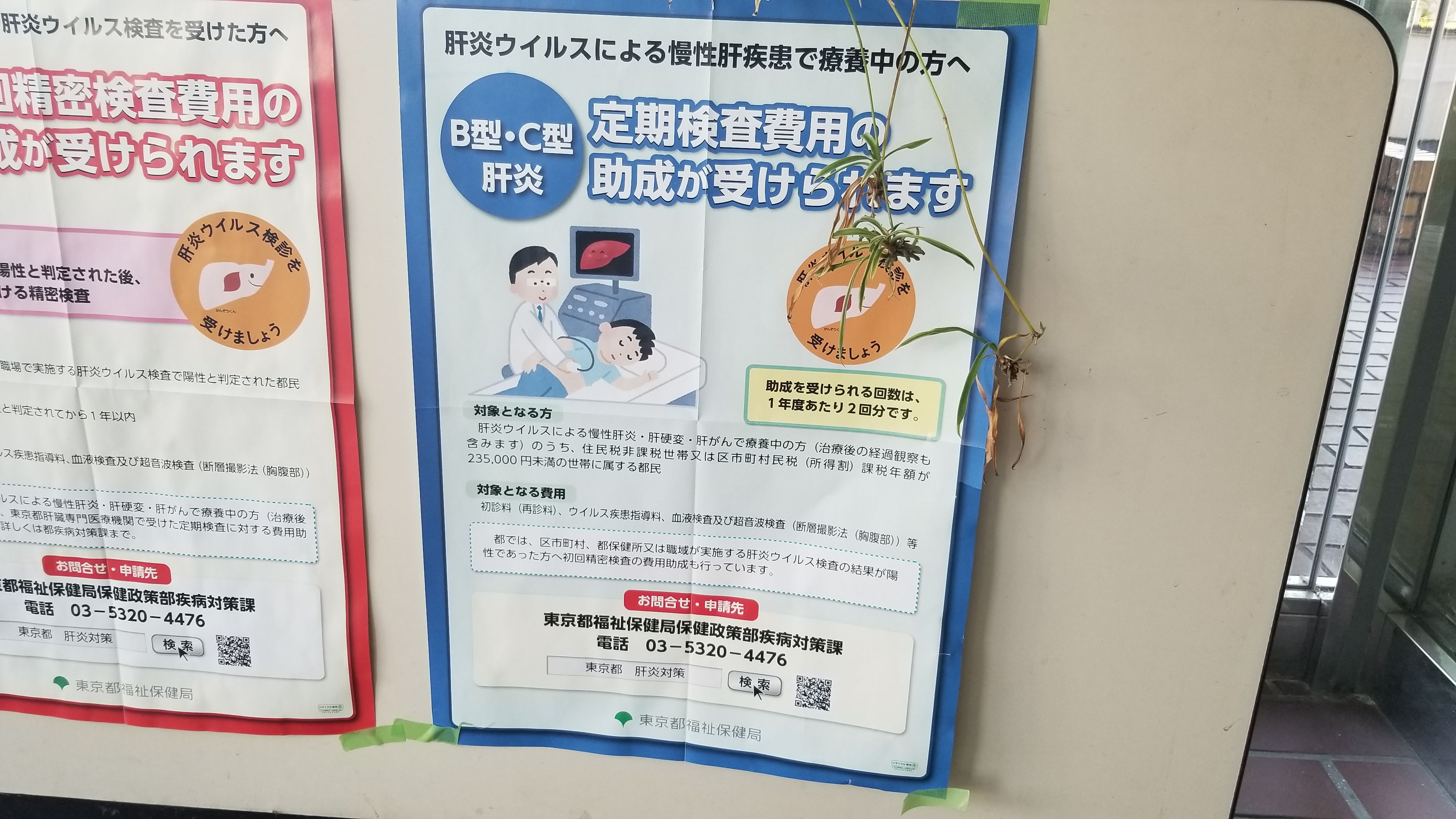 三浦靖雄 A Twitter 登録635号は高井戸保健センターのb C型肝炎の定期検査費用助成のお知らせ 使用は エコー検査 男性 ですがモニターの中を 健康な肝臓のキャラクター に差し替える細かいお仕事ぶり いらすとや いらすとやマッピング いらすとや