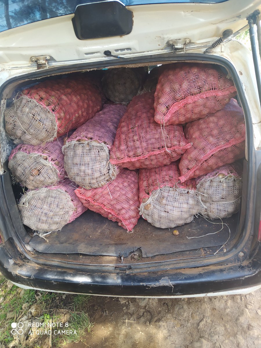 SpaceAgritech's tweet photo. Seed transportation to our clients,
#WeFeedYou #WefeedtheNation

There's no better demonstration of faith than a man planting seeds in the field... https://t.co/XKvzzRQhqz