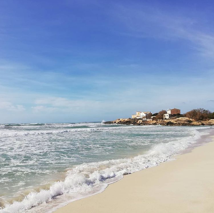 aseos de invierno por los rincones de nuestra isla.
~
Winter walks through beautiful corners of our island.
~
Winterspaziergänge an den schönsten Orten der Insel.

Pic by: @canellasmesquida