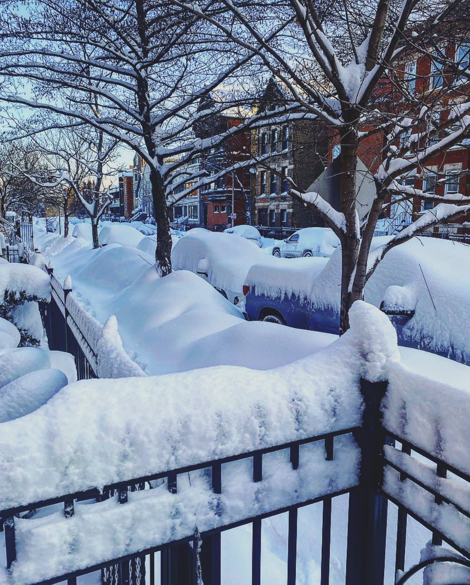 Danielle_MAFS's tweet image. “Seems like a great day to poop in the house.” -my dogs. ☃️ #chicagoproblems #dogmomprobs #Chiberia #Snowmageddon2021