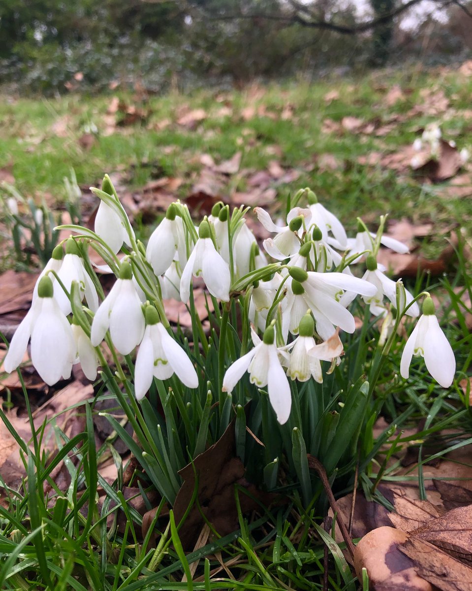 lizbonnin's tweet image. Hope springs. 🌎💚
#BeautyEverywhere
#EcologicalCivilization